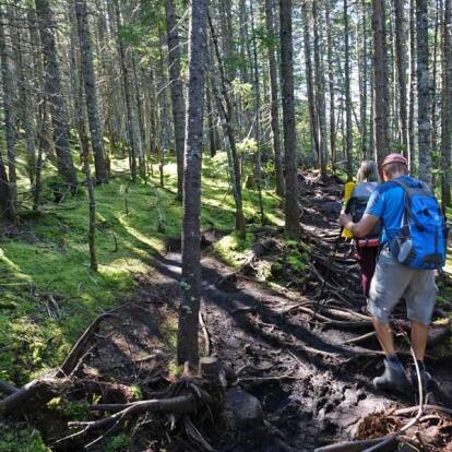 Circuit au Canada - Un Été en Ontario et au Québec
