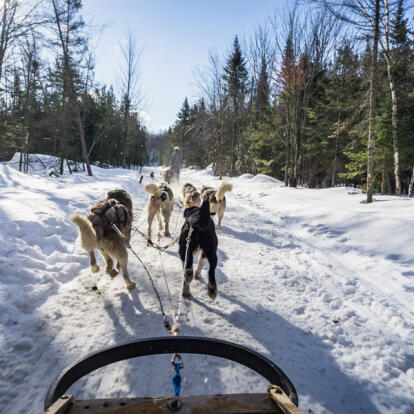 Combiné Canada - USA - Un hiver chaud froid en Amérique