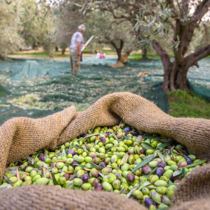 Circuit en Crète - Les richesses naturelles de l’Est