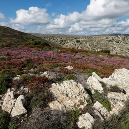 Voyage en Crète - Les richesses naturelles de l’Est
