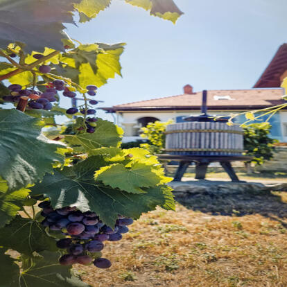 Voyage en Moldavie - Gourmet Tour