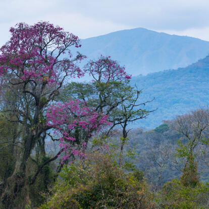 Circuit  en Argentine - Buenos Aires et Nord-Ouest Argentin Insolite