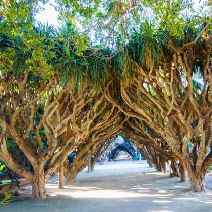 Circuit en Algérie - Oran l’Andalouse & Alger la Blanche