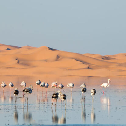 Voyage en Algérie - Aurès et les Oasis d’Algérie