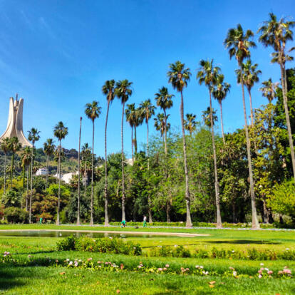 Voyage en Algérie - Algérie Antique, Dunes et Oasis