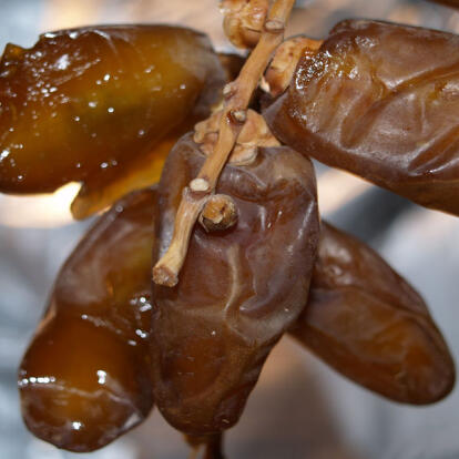 Circuit en Algérie - Algérie Antique, Dunes et Oasis