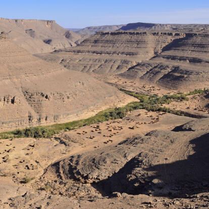 Circuit en Algérie - Fête de la Sébiba
