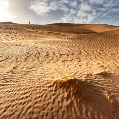 Circuit en Algérie - Fête de la Sébiba