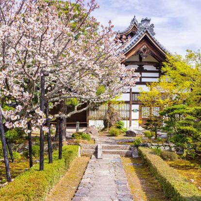 Voyage au Japon - Quand Fleurissent les Cerisiers