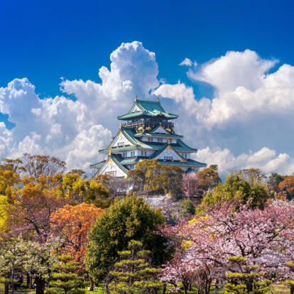 Voyage au Japon - Quand Fleurissent les Cerisiers