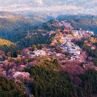 Circuit au Japon - Quand Fleurissent les Cerisiers