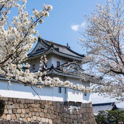 Voyage au Japon - Quand Fleurissent les Cerisiers