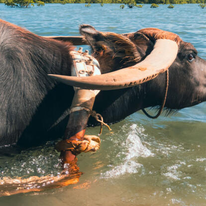 Circuit au Japon - Du Japon éternel aux îles d’Okinawa