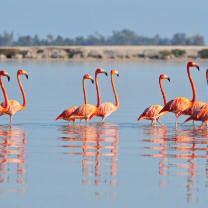 Voyage au Mexique - Autotour en Terres Mayas