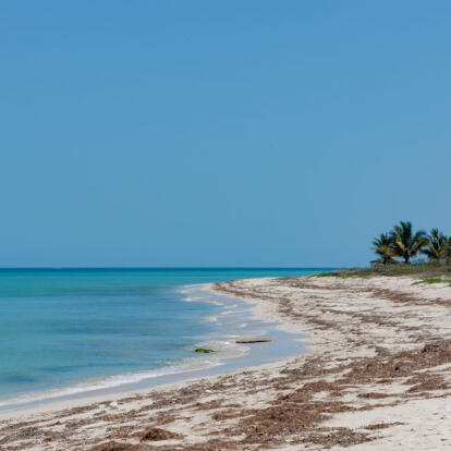 Circuit au Mexique - Des Caraïbes au Chiapas avec chauffeur