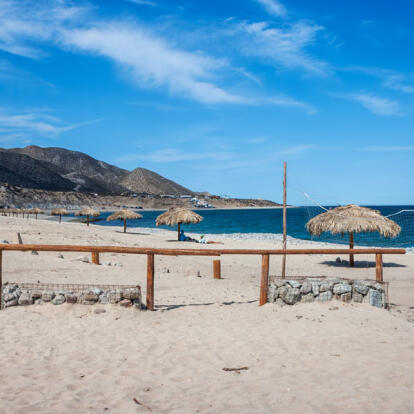 Circuit au Mexique - La Basse Californie, ses Mers & ses Déserts