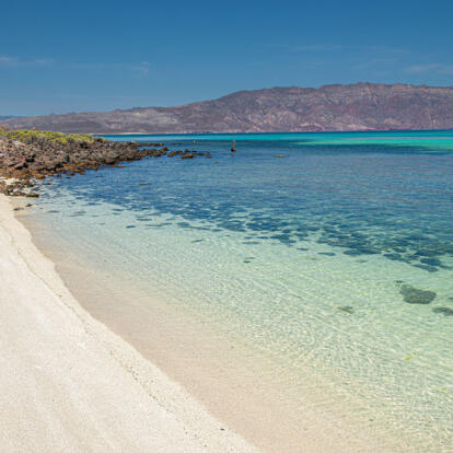 Voyage au Mexique - La Basse Californie, ses Mers & ses Déserts