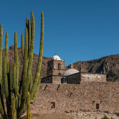 Circuit au Mexique - La Basse Californie, ses Mers & ses Déserts