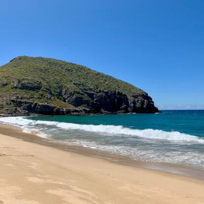 Circuit au Mexique - La Basse Californie, ses Mers & ses Déserts