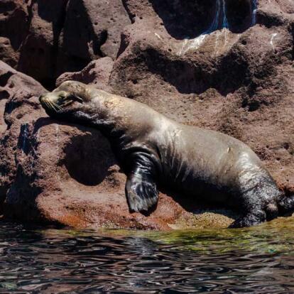 Circuit au Mexique - Sur les rails du Chepe jusqu'à la mer de Cortes