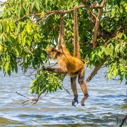 Voyage au Nicaragua - Nicaragua Sans Contraintes, Circuit annulation facile