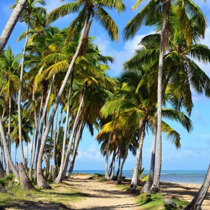 Voyage en République Dominicaine - Hors des Sentiers Battus