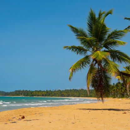 Voyage en République Dominicaine - L'île Autrement