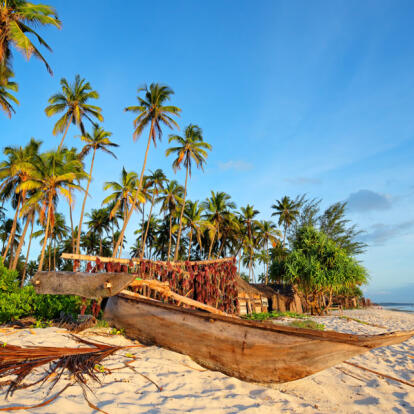 Voyage en Tanzanie - Safari à Nyerere et lagons de Zanzibar