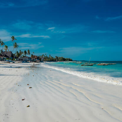 Voyage en Tanzanie - Safari à Nyerere et lagons de Zanzibar