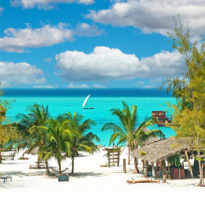 Circuit en Tanzanie - Nature sauvage du sud et Zanzibar