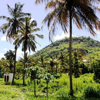 Voyage en Tanzanie - Nature sauvage du sud et Zanzibar