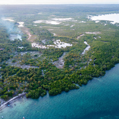 Voyage en Tanzanie - Ruaha sauvage et Mafia secrète
