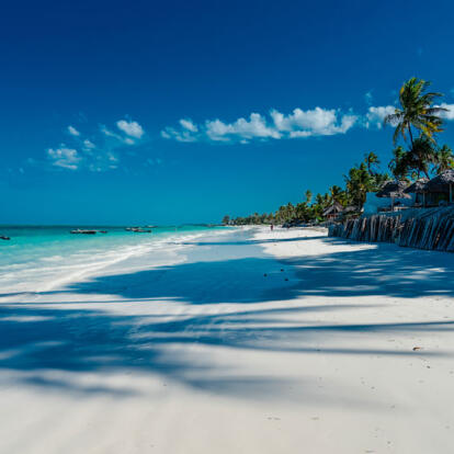 Séjour en Tanzanie - Zanzibar et Saadani, entre Brousse et Océan