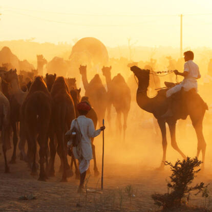 Voyage au Cœur de l'Inde Mystique