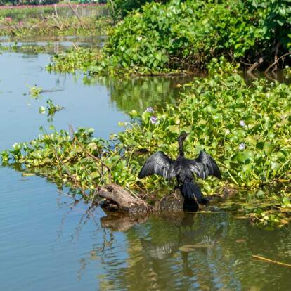 Voyage en Inde - Le Kerala en Famille