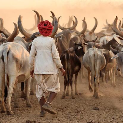 Voyage en Inde - Découverte du Mystérieux Gujarat