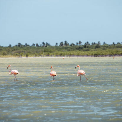 Voyage en République Dominicaine - Le grand Sud-Ouest Sauvage