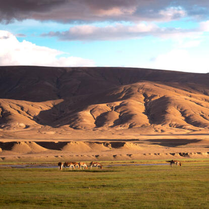Circuit en Inde - Ladakh, de Leh au Tso Moriri