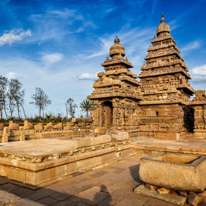 Voyage en Inde - Du Tamil Nadu au Kerala
