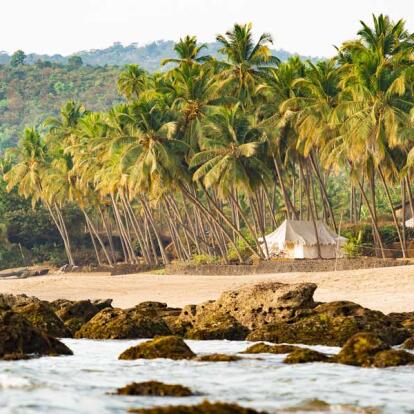 Voyage en Inde - Du Tamil Nadu au Kerala