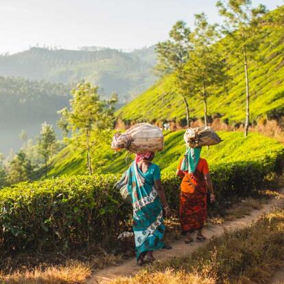Circuit en Inde - Du Tamil Nadu au Kerala
