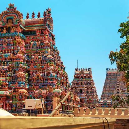 Voyage en Inde - Du Tamil Nadu au Kerala