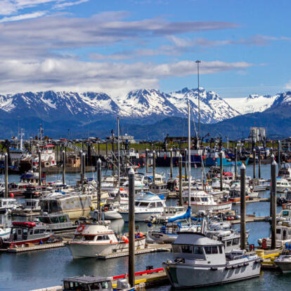 Voyage en Alaska - Les incontournables en 15 jours