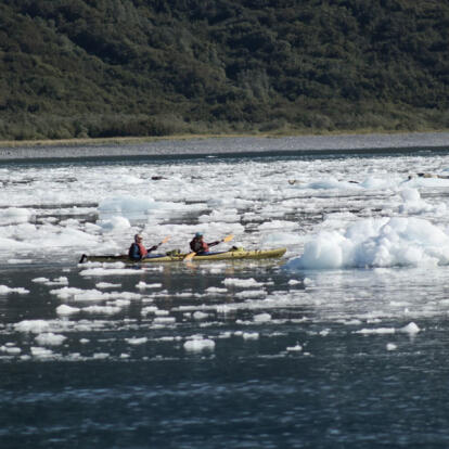Voyage en Alaska - Les incontournables en 15 jours