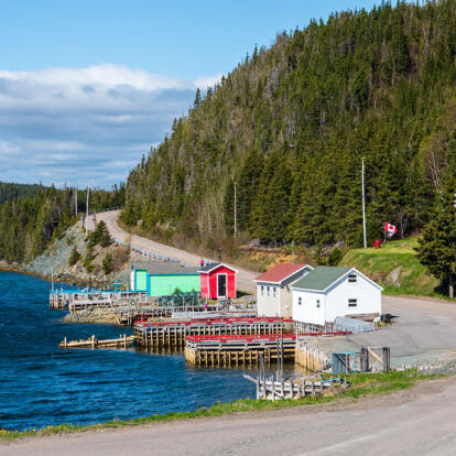 Circuit au Canada - Les essentiels de Terre-Neuve en 15 jours