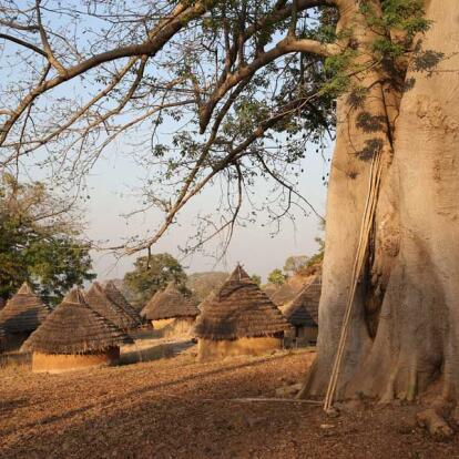 Voyage au Sénégal - Pays Bassari et Parc du Niokolo-Koba