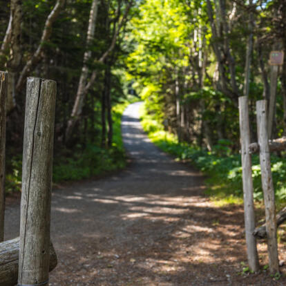 Voyage au Québec - De la Gaspésie au Mont Mégantic