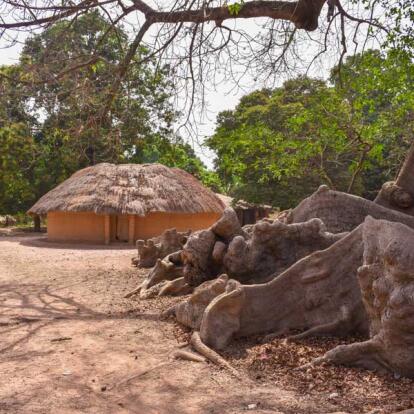 Voyage au Sénégal - L'Essentiel de la Casamance
