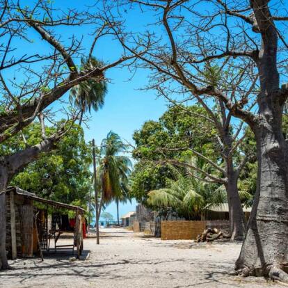 Circuit au Sénégal - L'Essentiel de la Casamance