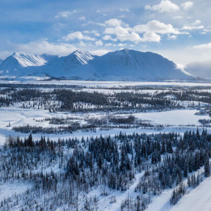 Voyage en Alaska - Échappée hivernale en Alaska Sauvage
